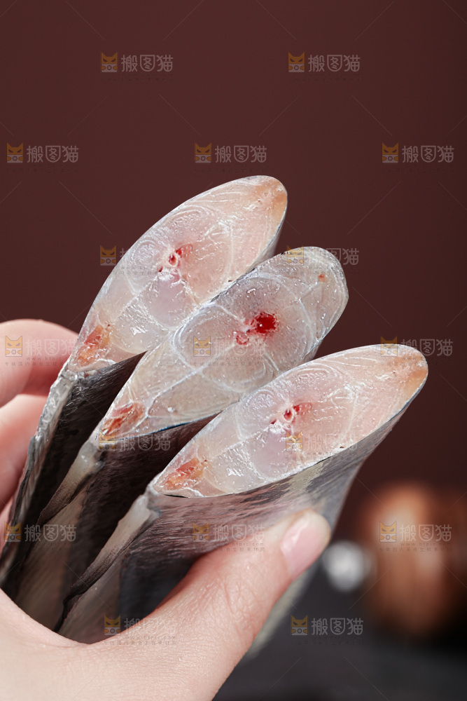带鱼段