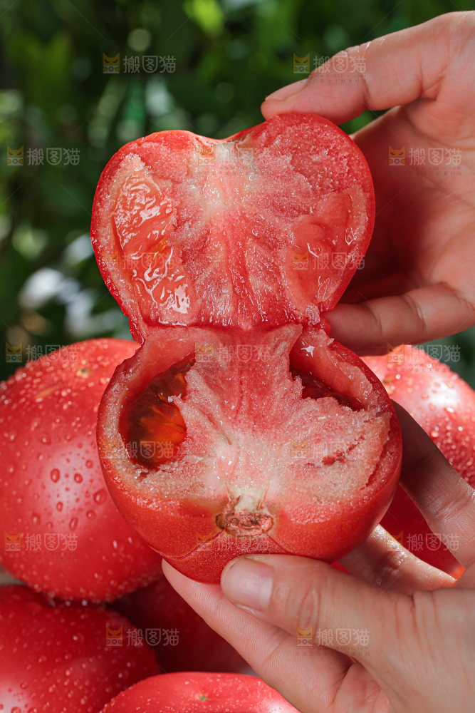 普罗旺斯西红柿