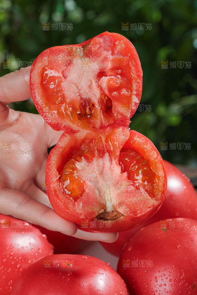 普罗旺斯西红柿