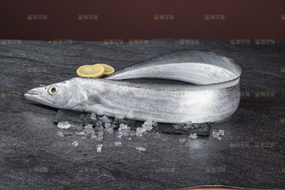 带鱼