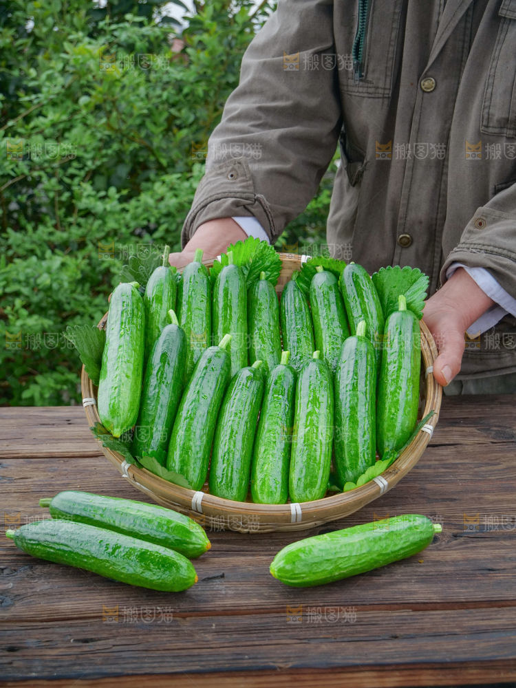 水果黄瓜