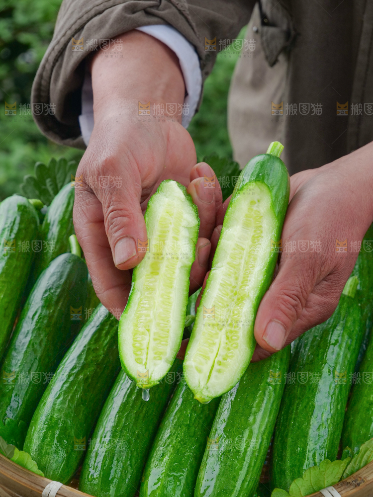 水果黄瓜