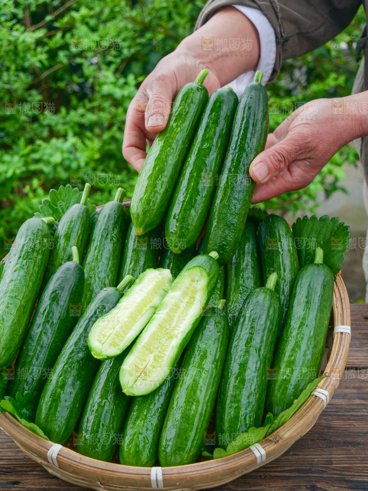 水果黄瓜