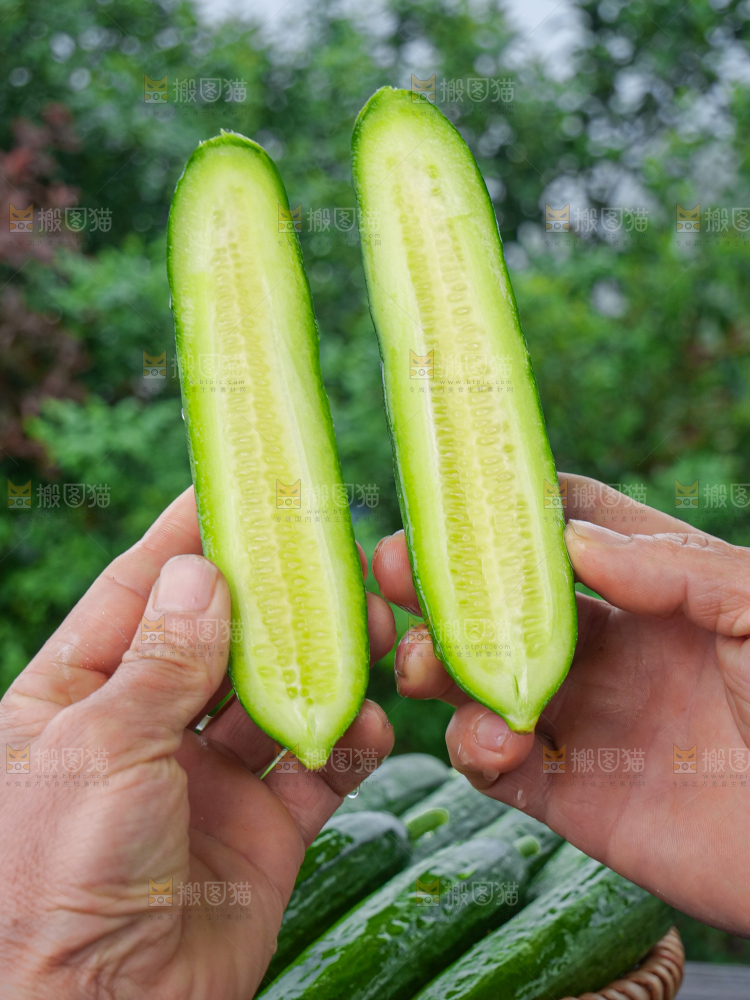 水果黄瓜