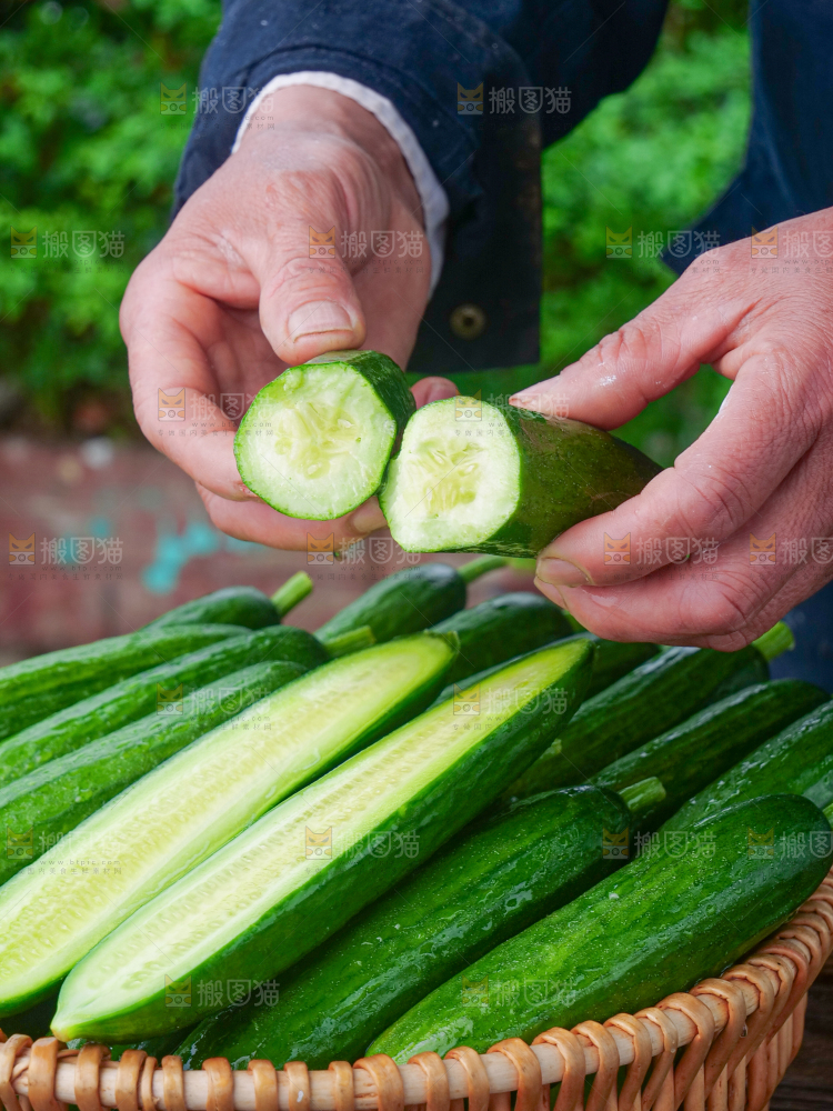 水果黄瓜
