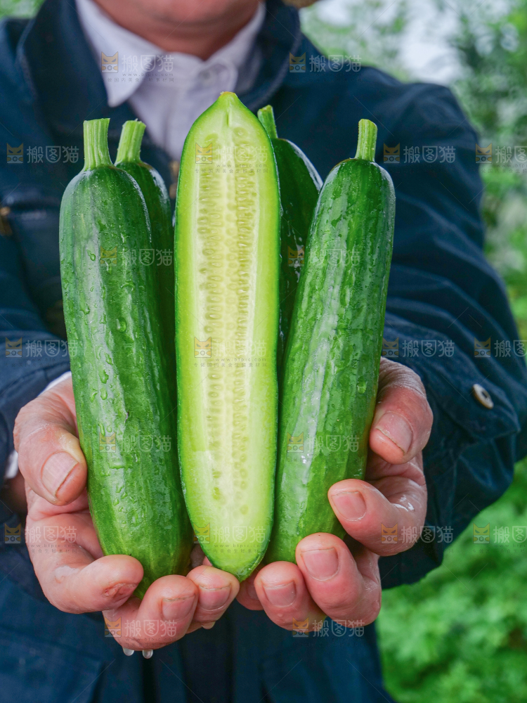 水果黄瓜