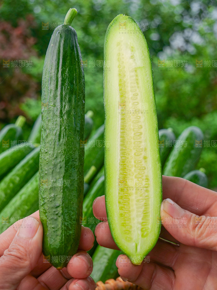 水果黄瓜