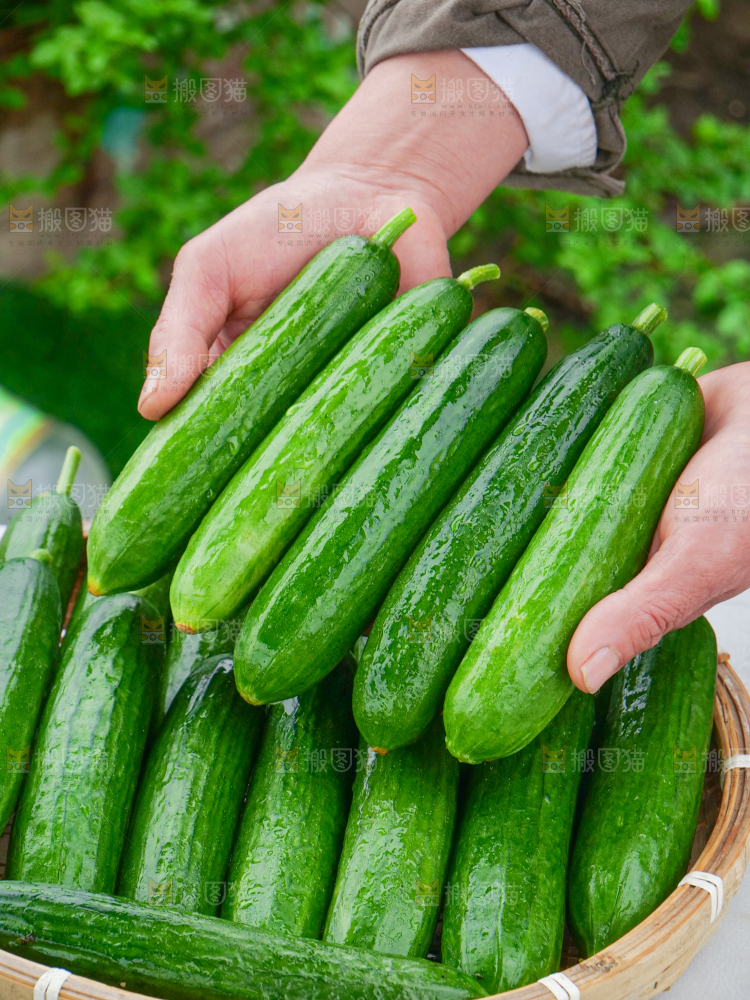 水果黄瓜