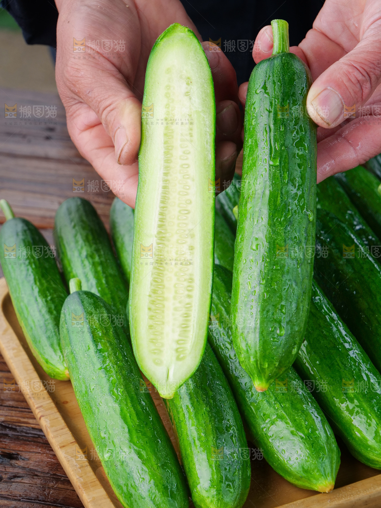 水果黄瓜
