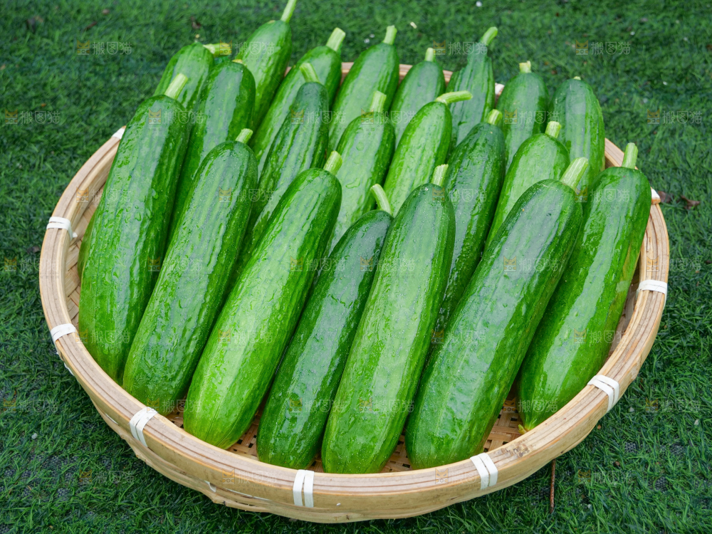 水果黄瓜