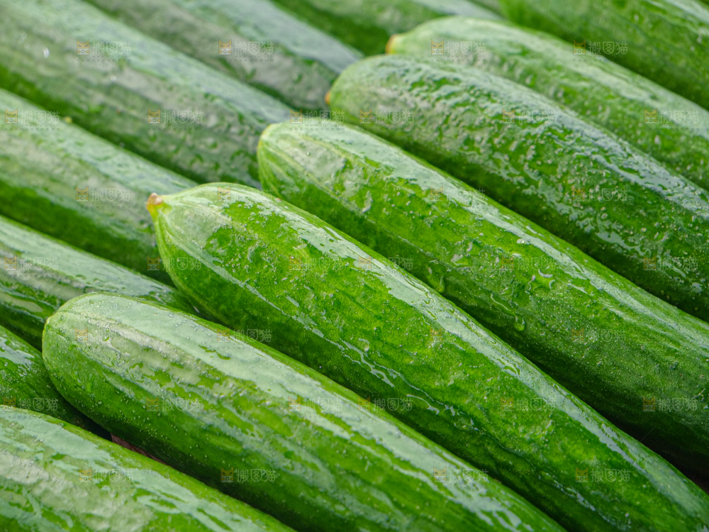 水果黄瓜