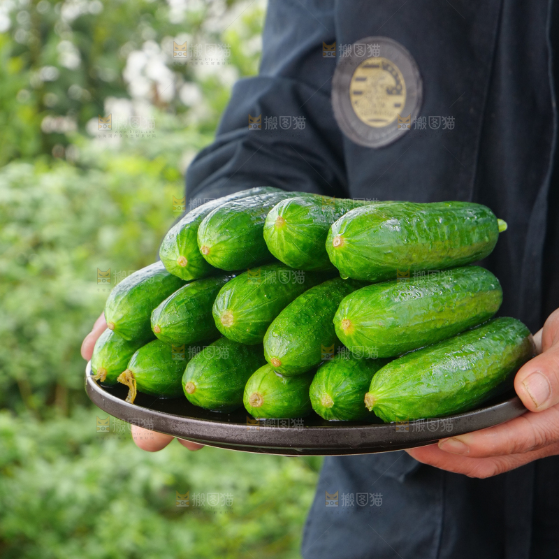 水果黄瓜