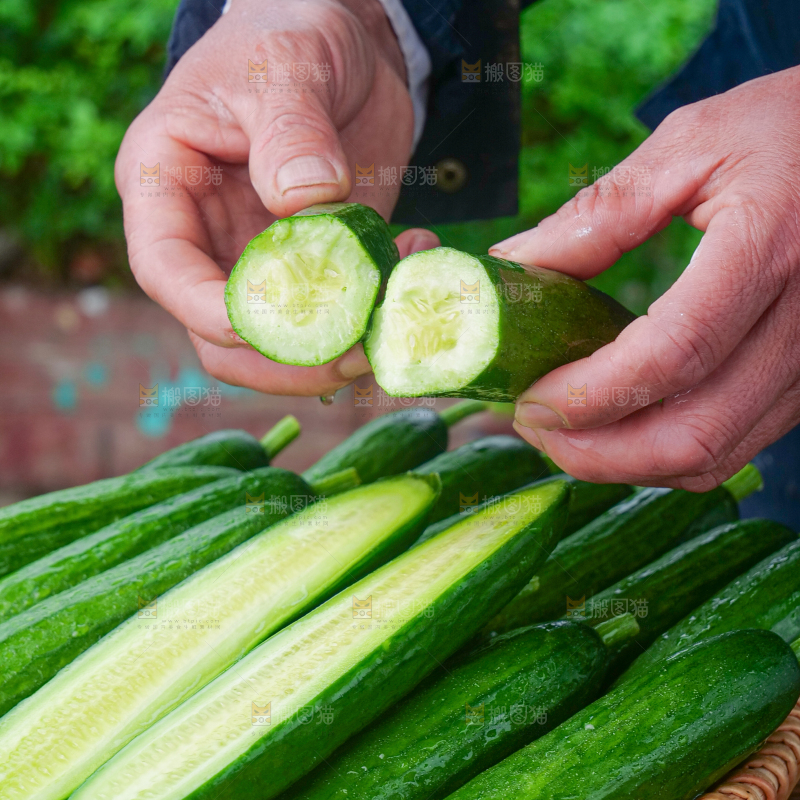水果黄瓜