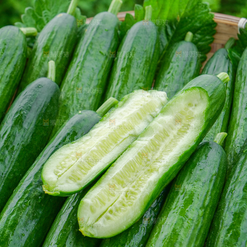 水果黄瓜