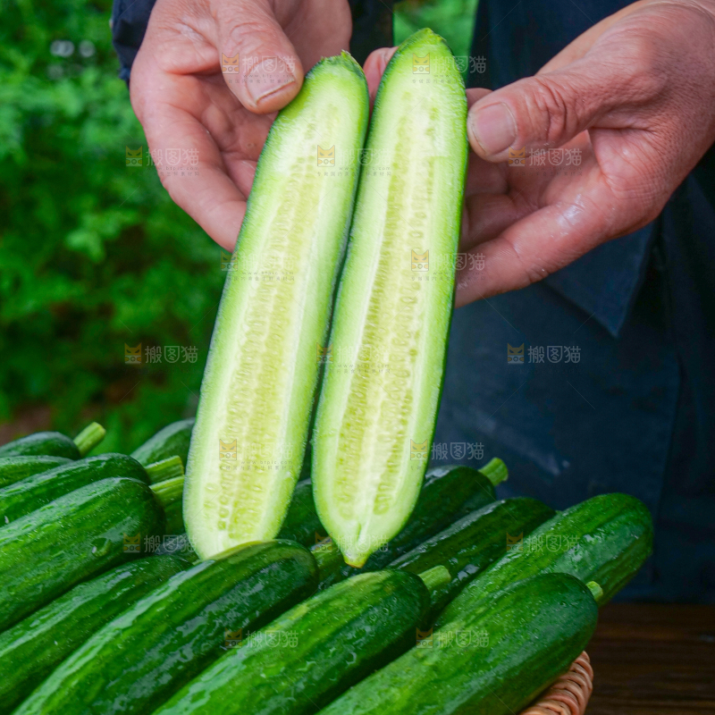 水果黄瓜