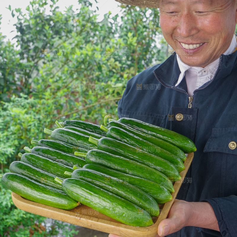水果黄瓜