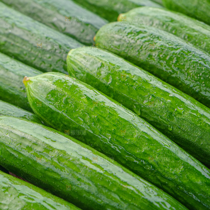 水果黄瓜