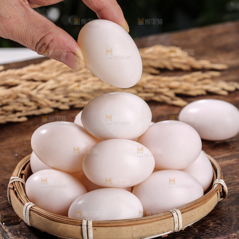 鸽子蛋