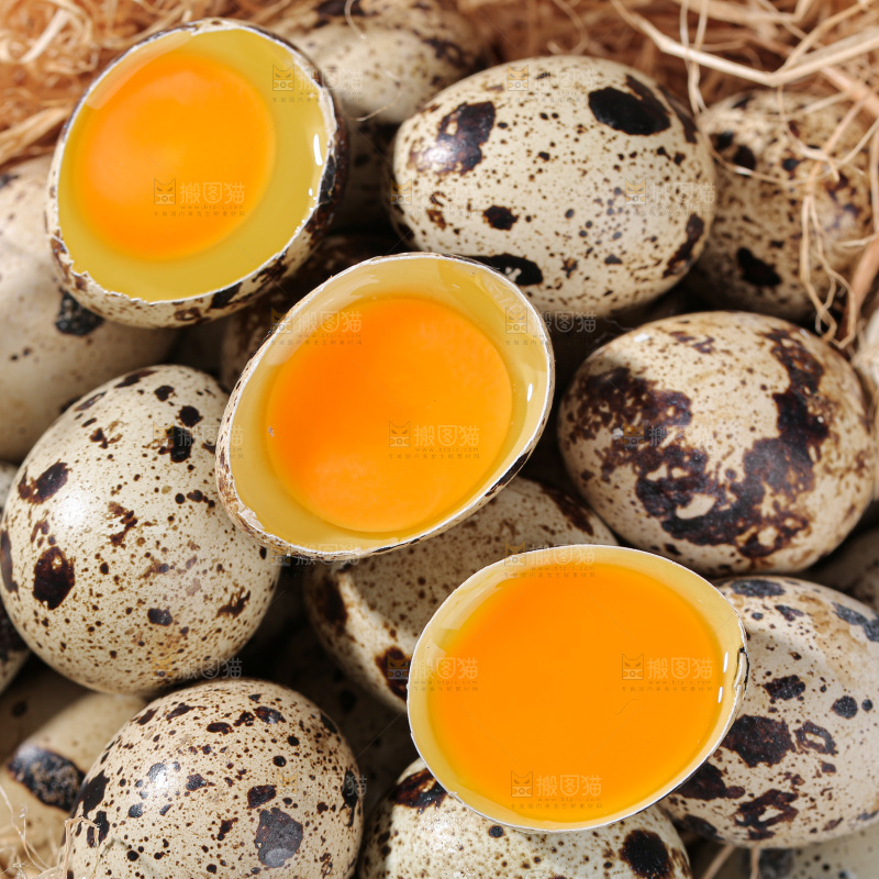 鹌鹑蛋