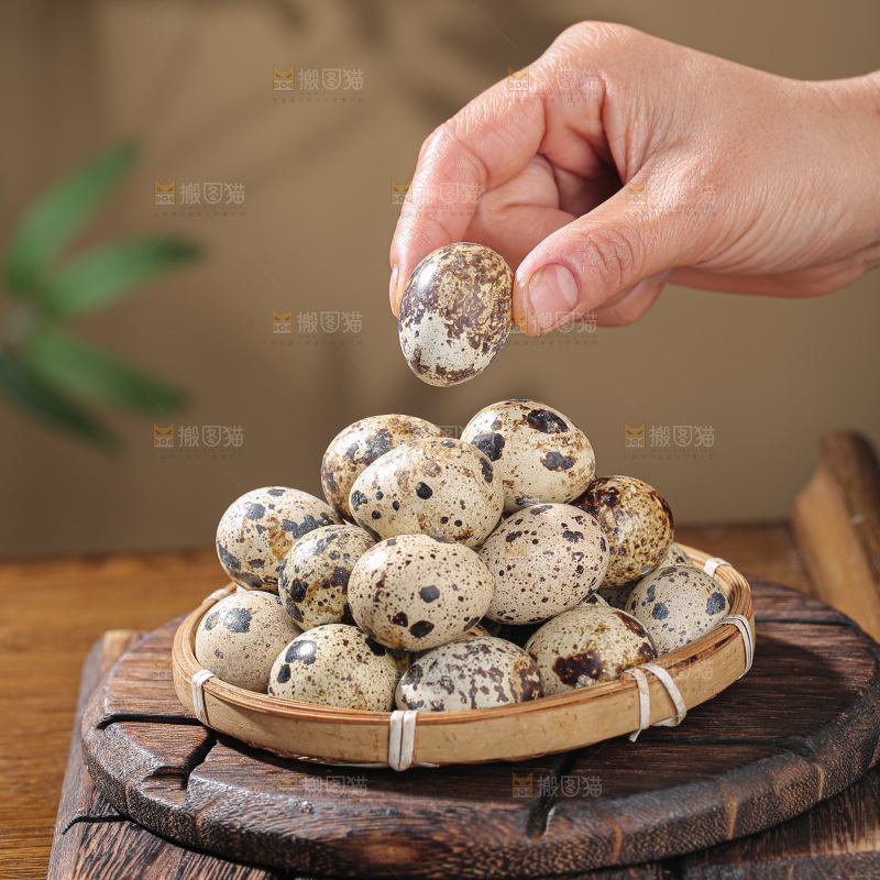 鹌鹑蛋
