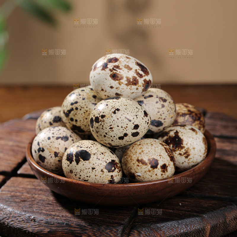 鹌鹑蛋