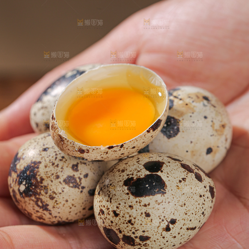 鹌鹑蛋