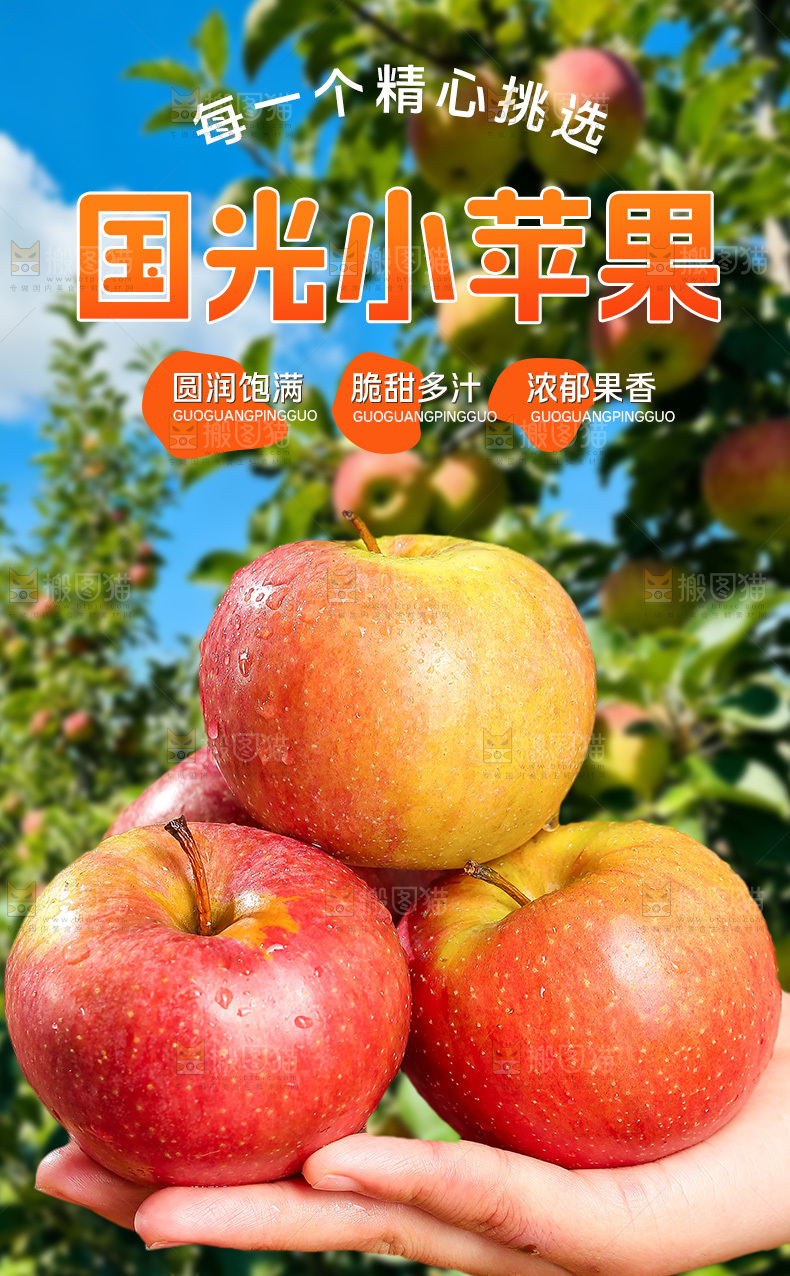 国光小苹果详情页