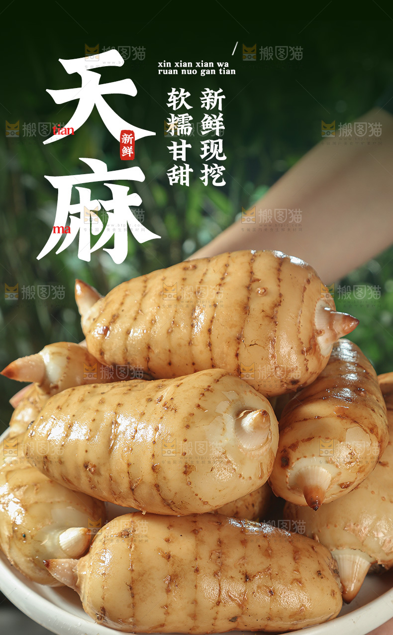 天麻详情页