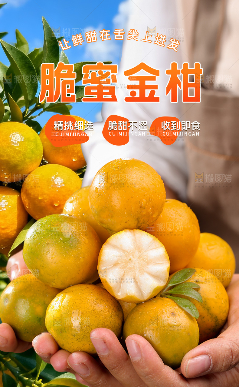 脆蜜金柑详情页