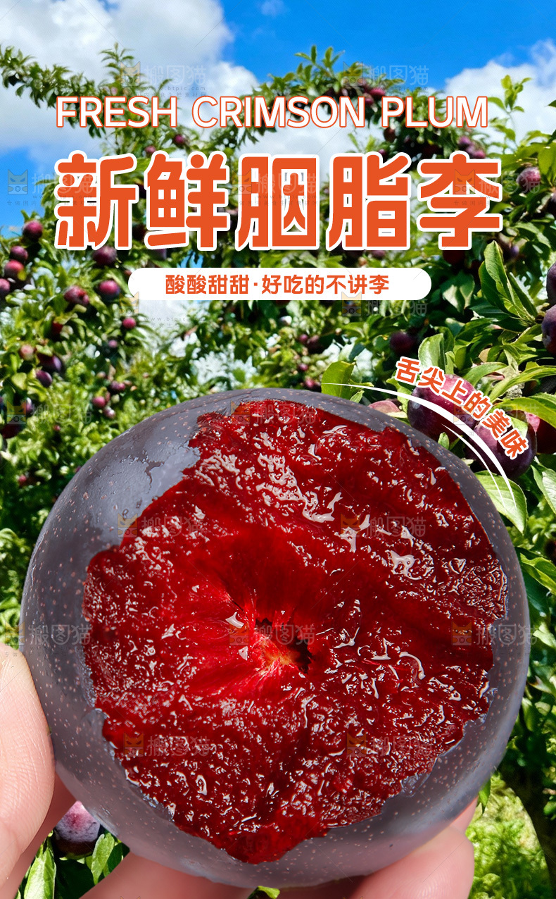 胭脂李详情页
