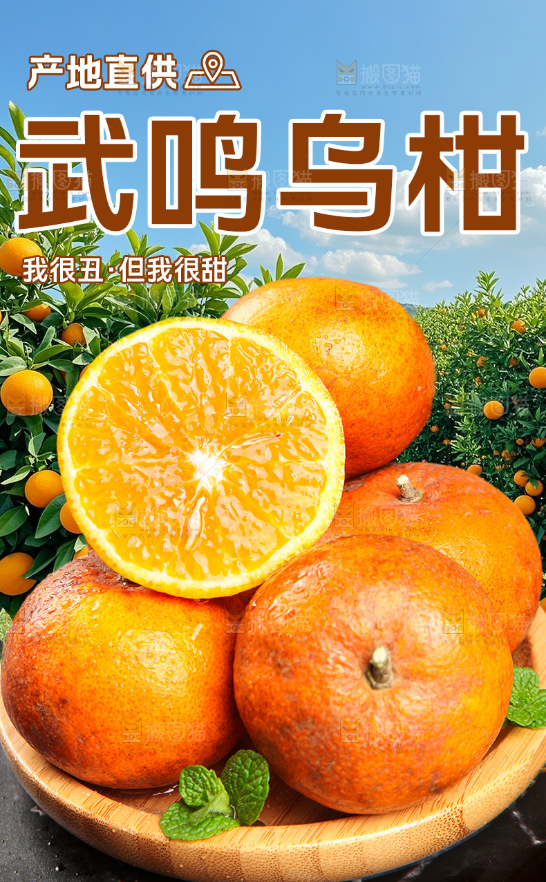 武鸣乌柑详情页