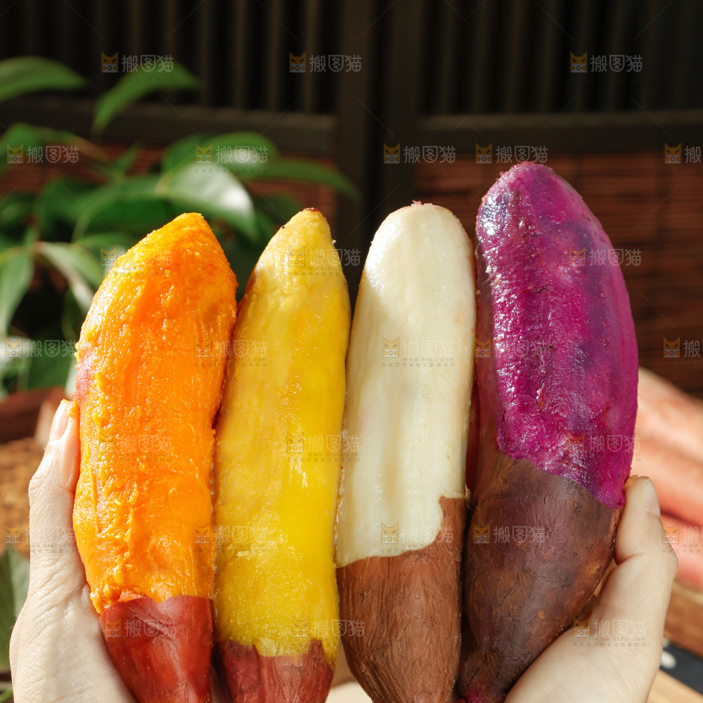 四色蜜薯