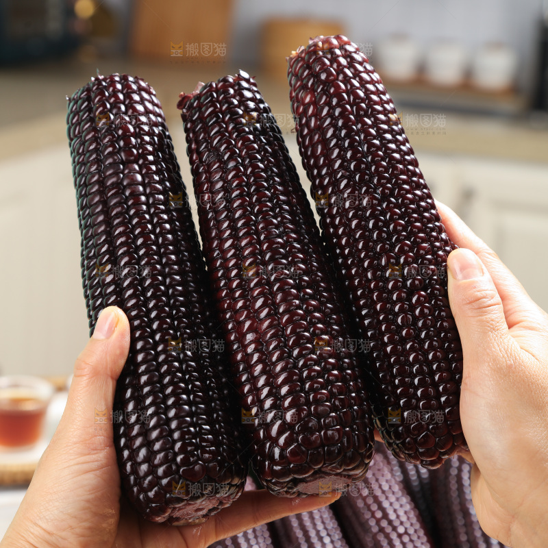 黑糯玉米