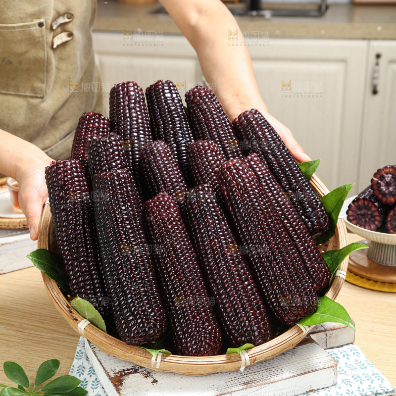 黑糯玉米