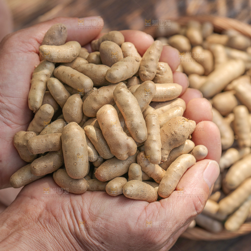 山药豆