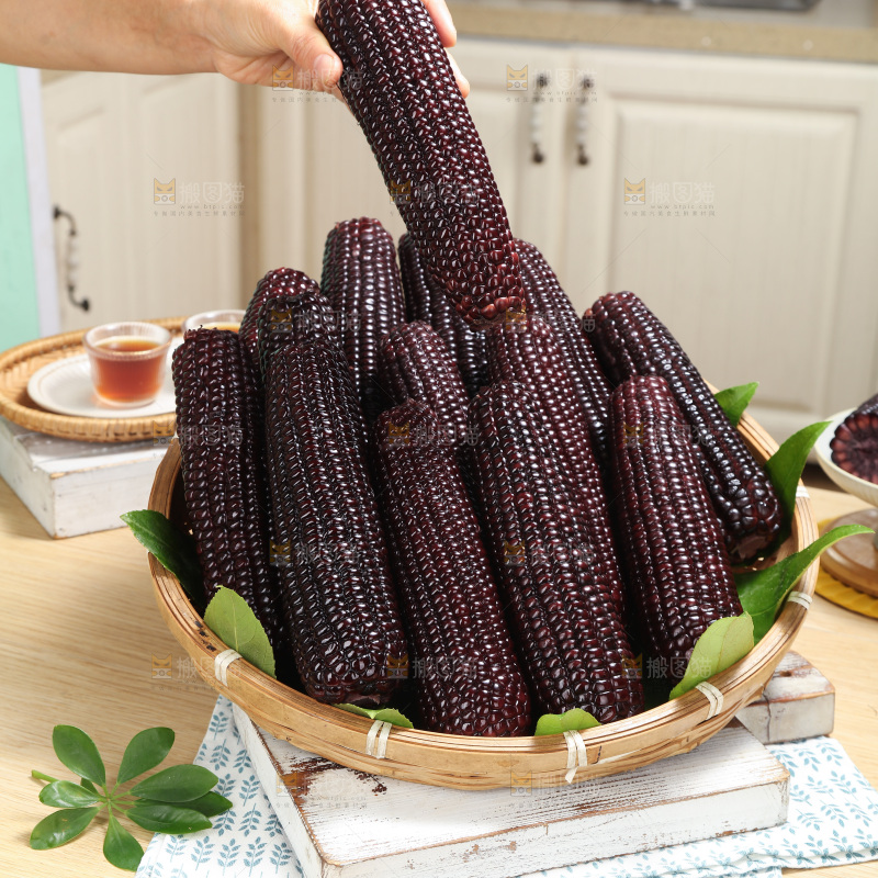 黑糯玉米