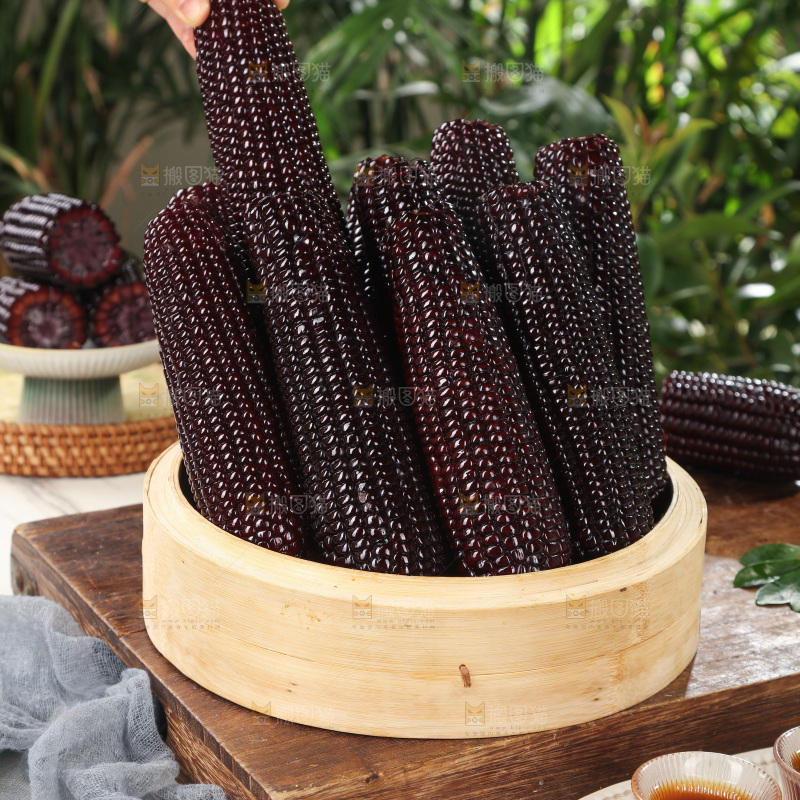 黑糯玉米