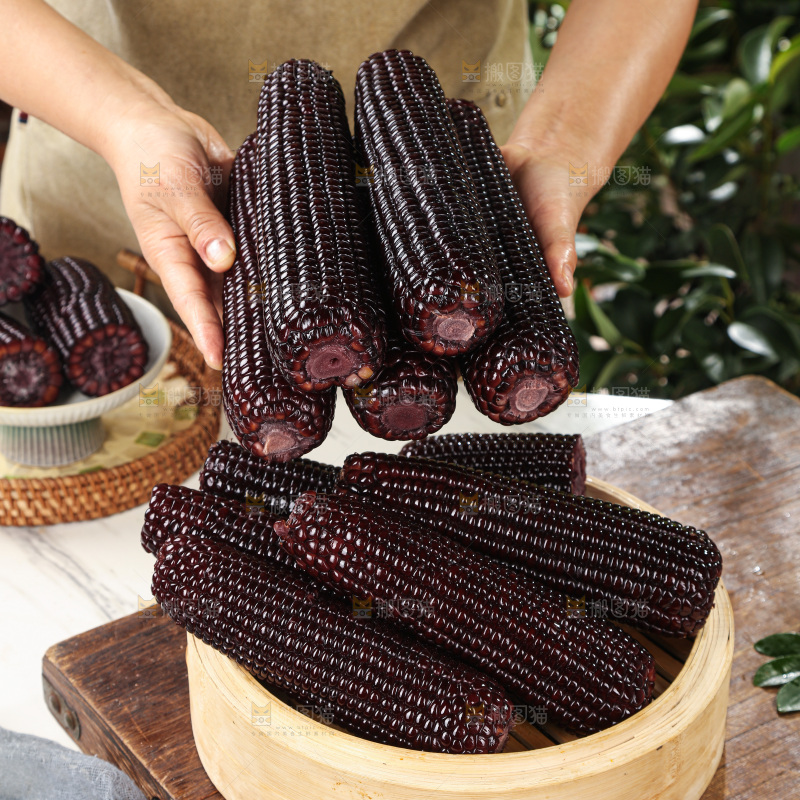 黑糯玉米