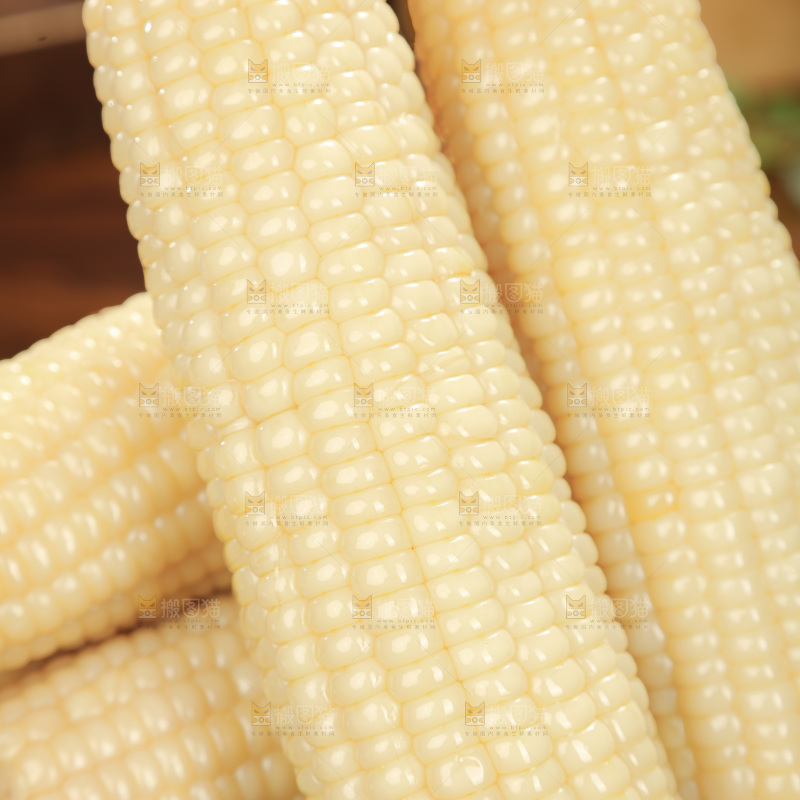 白糯玉米
