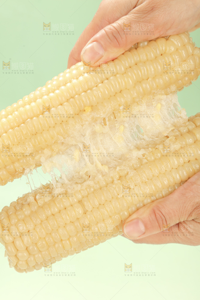 白糯玉米