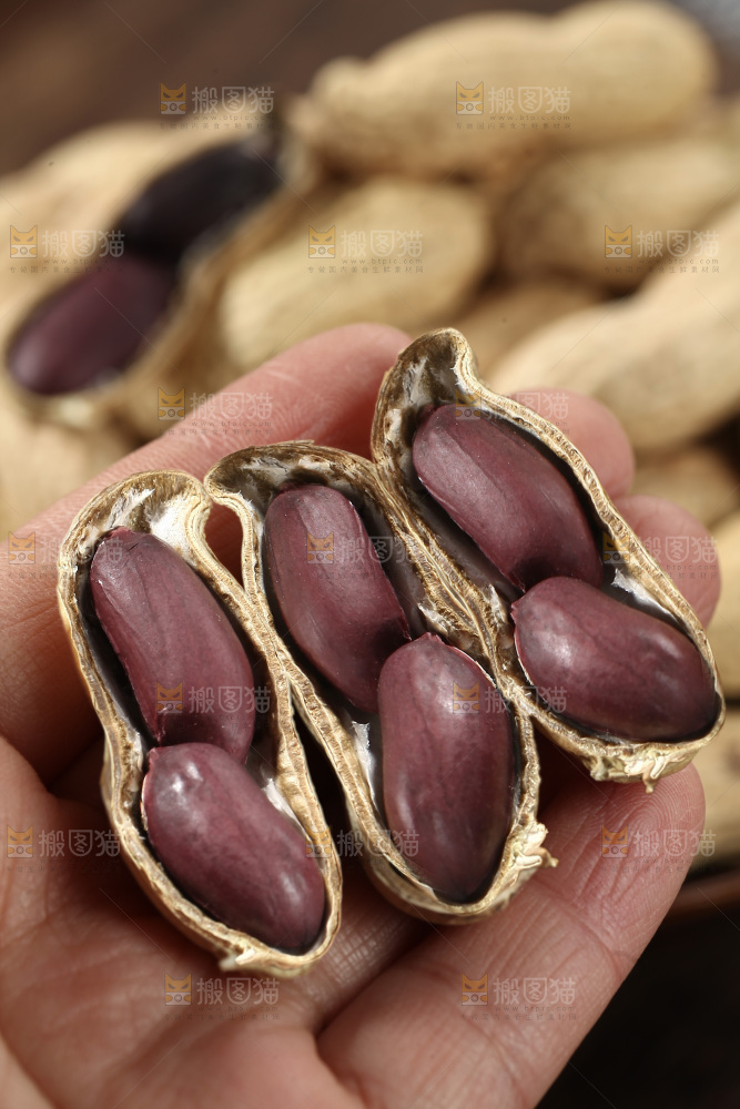 黑皮花生