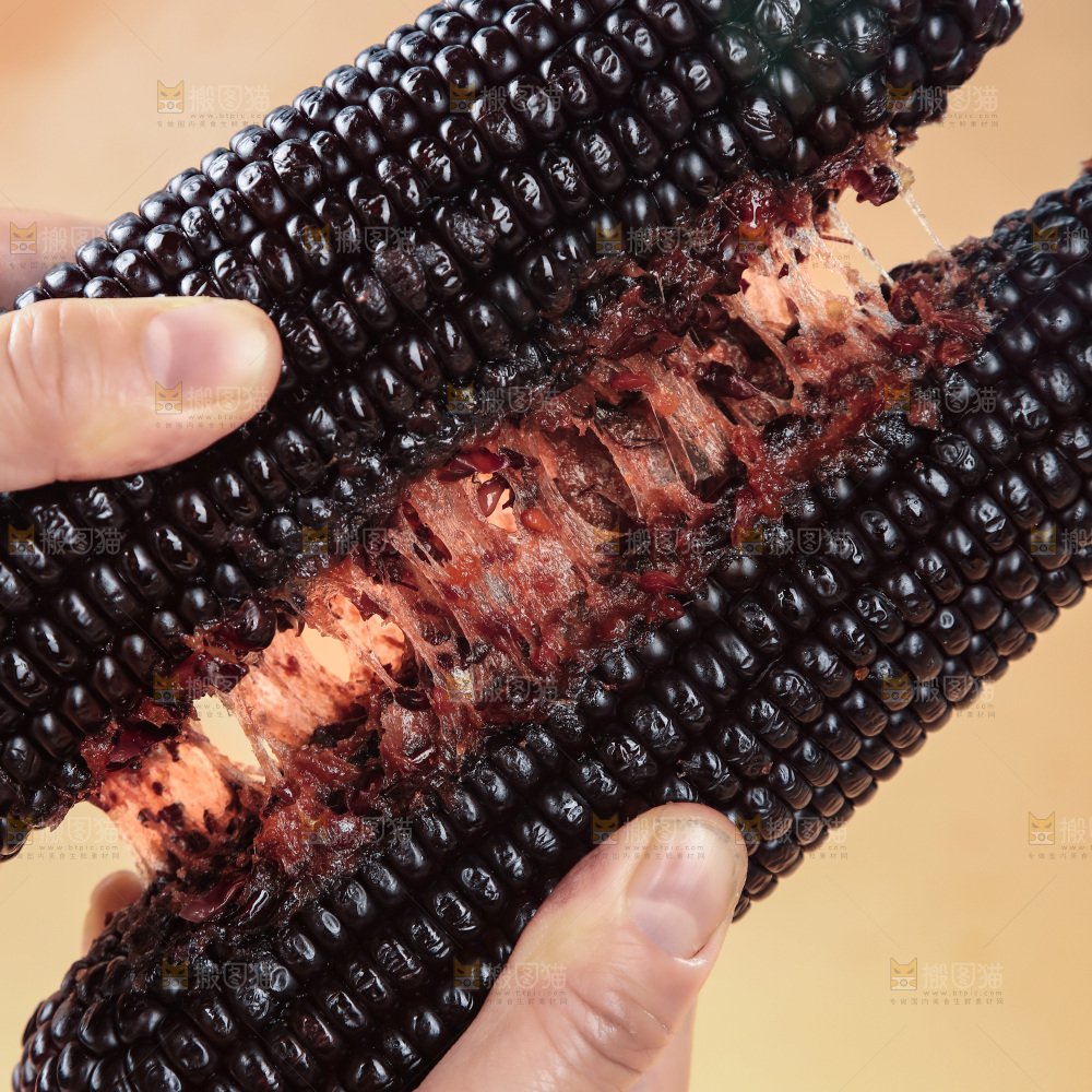 黑糯玉米