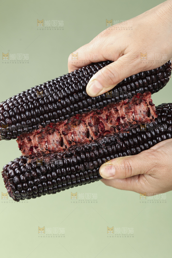黑糯玉米