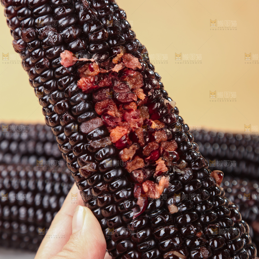 黑糯玉米