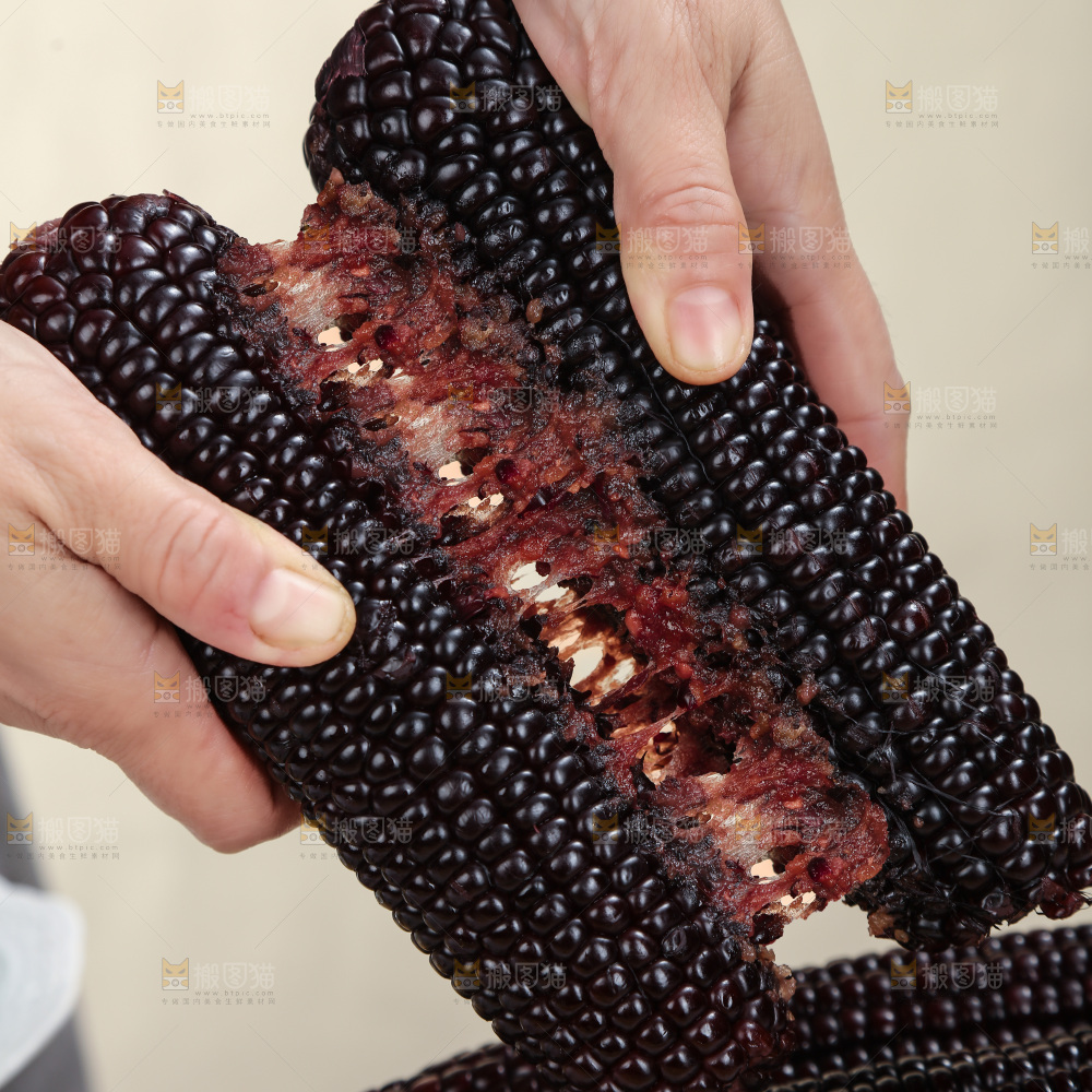 黑糯玉米