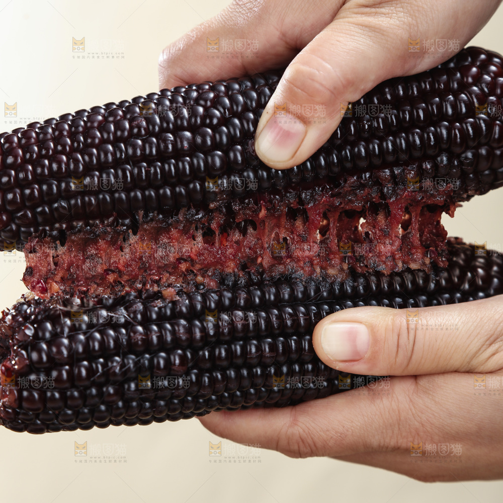 黑糯玉米