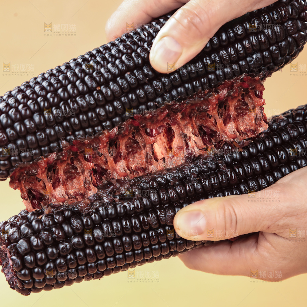 黑糯玉米