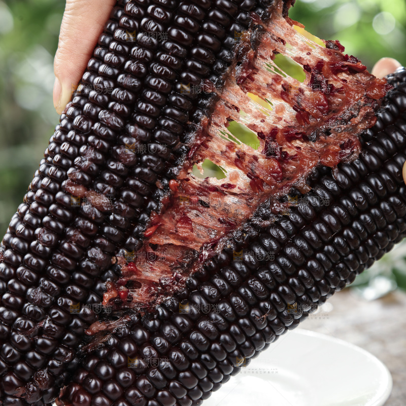 黑糯玉米