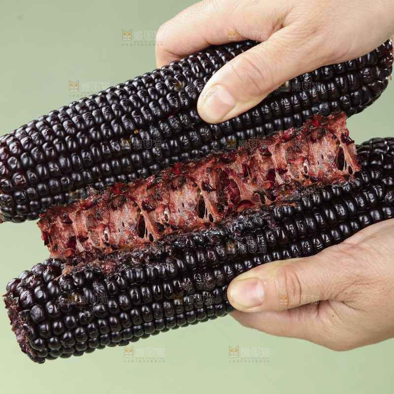 黑糯玉米