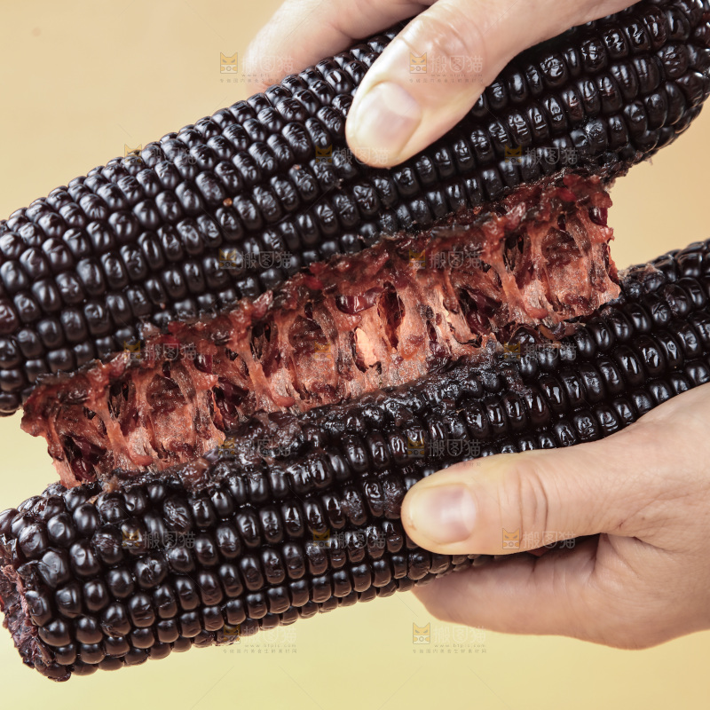 黑糯玉米